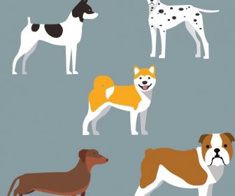 Coleções De ícones Do Cão Vários Tipos Coloridos