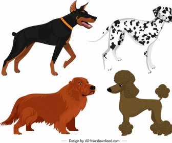 Hund Arten Symbole Farbige Cartoon-design