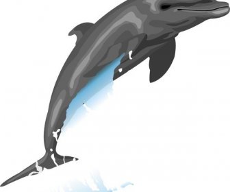 Delphin Im Wasser Vektor Springen