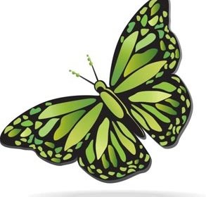 Doted 패턴 녹색 나비 무료 벡터