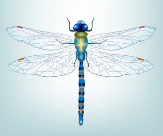 蜻蜓圖示 3d 彩色的裝飾底部視圖