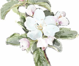 Drawn Watercolor Flower Art Background Vector Set