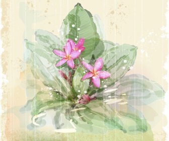 Gezeichnete Aquarell Blumen Kunst Hintergrund Vektor-set