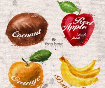 Drawn Watercolor Fruits Vector Design Set