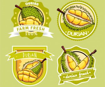 Templat Label Durian Dekorasi Klasik Cerah Datar