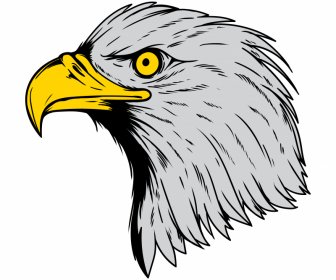 Значок головы орла плоский нарисованный от руки классический контур