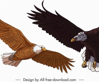 Eagle Icons Colored Cartoon Sketch Flying Gesture