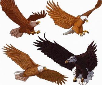 Eagle Icons Flying Gesture Cartoon Sketch