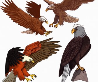 Iconos Del águila Volando Posándose En El Boceto Del Gesto