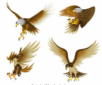 Eagle Icons Hunting Gestures Sketch Colored Cartoon Design