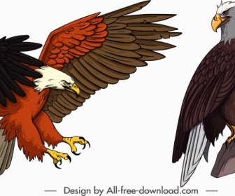 Eagle Icons Hunting Perching Gesture Sketch Cartoon Design