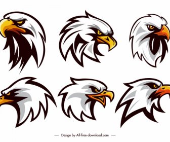 Logotipos águias Cabeças Esboço Projeto Colorido Desenhado à Mão