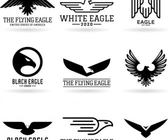 Adler Logos Riesige Sammlung Vektoren