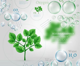 Eco Data Infographic Vektor Template