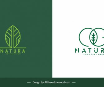Modelos De Logotipo Ecológico Esboço Folha Plana Verde