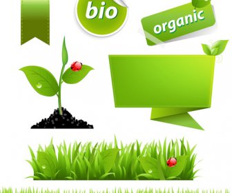 Eco Dengan Unsur-unsur Bio Stiker Dan Ikon Vektor