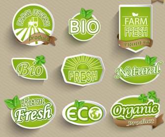 Eco กับเวกเตอร์สติ๊กเกอร์อาหารอินทรีย์