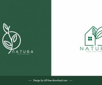 Ecological Logotypes House Leaf Sketch Green Flat Design