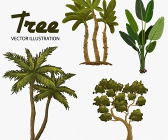 Ecología Elementos De Diseño árboles Verdes Boceto Diseño Clásico