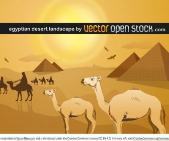 Египетский пейзаж пустыни