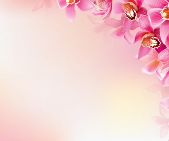 Elegant Orchids Vector Background Art