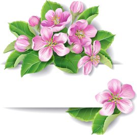 ดอกไม้สีชมพูสวยงาม ด้วยกระดาษพื้นหลังเวกเตอร์