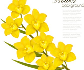 エレガントな黄色花アートの背景のベクトル