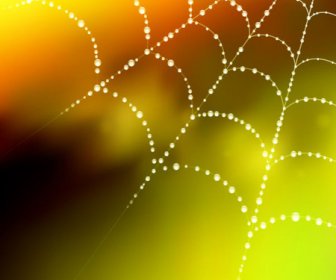 Unsur-unsur Embun Dan Spider Web Vektor