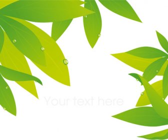 新鮮な緑の要素のベクトルの背景