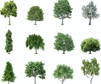 다양 한 나무 벡터의 요소