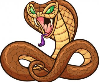 Les éléments De Conception 13 Année Du Serpent