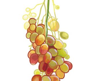 отличная рисованная виноградная векторная графика 4