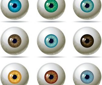 Augenkugeln Vorlagen Sammlung Glänzend Bunte 3D-Design