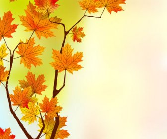 Fall Der Maple Leaf Elemente Hintergrund Vektor