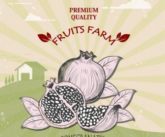Farm Fruit Banner Pomegranate Icon Desain Retro