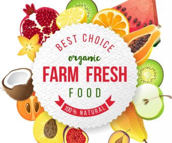 Farm Organic Fruit Background Vector