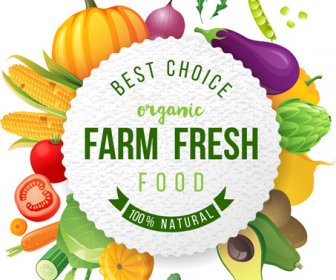 Farm Organic Fruit Background Vector