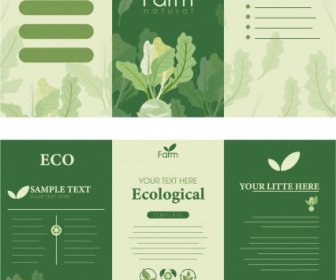 шаблон листовок фермерского продукта элегантная зеленая трехкратная форма