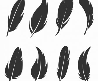 Feather Icons Black White Handdrawn Sketch