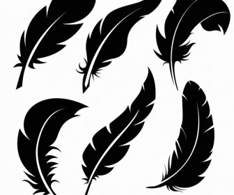 Feathers Icons Black Silhouette Sketch