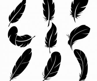 Feathers Icons Black Silhouettes Handdrawn Sketch