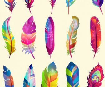 Feathers Icons Collection Multicolored Decor Fluffy Vertical Design