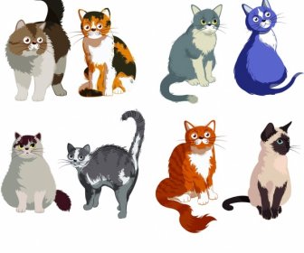Feline Icons Collection Cute Colored Cartoon Sketch