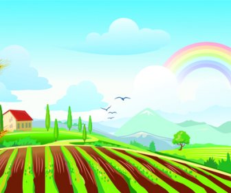 Field Landscape With Rainbow