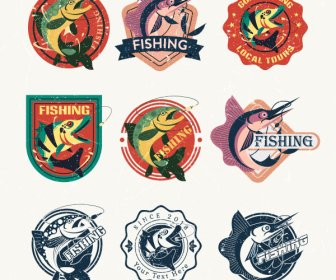 Fish Labels Templates Motion Sketch Retro Design