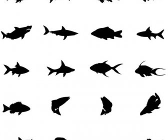 الصور الظلية ناقلات الأسماك