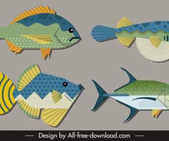 Specie Di Pesce Icone Colorato Schizzo Piatto