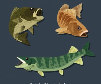 Fish Species Icons Motion Sketch Colored Classic Handdrawn