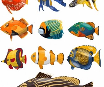 Pesci Specie Icone Disegno Colorato