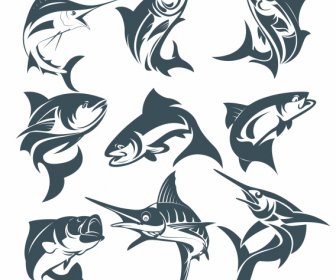 Fische Arten Symbole Dynamische Gesten Handgezeichnete Skizze